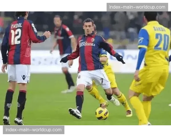 博洛尼亚1-0佛罗伦萨,主队凭借高出对手8公里的跑动赢下消耗战